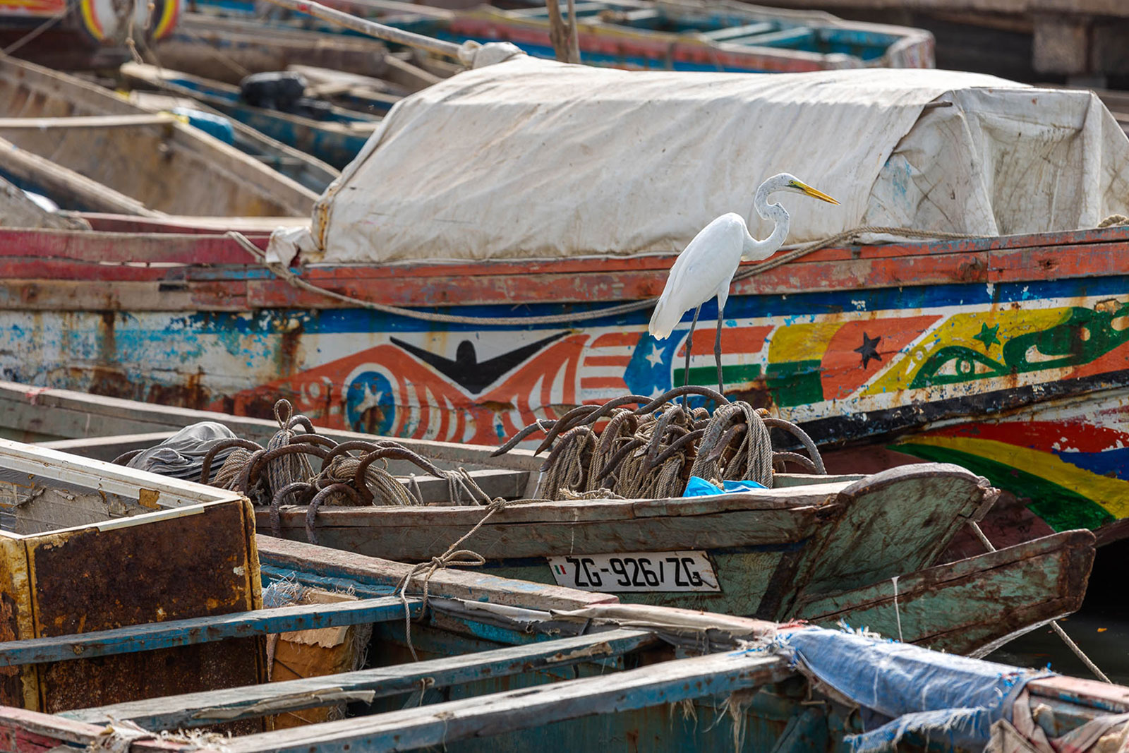 Pesca2_2025_WEB.jpg