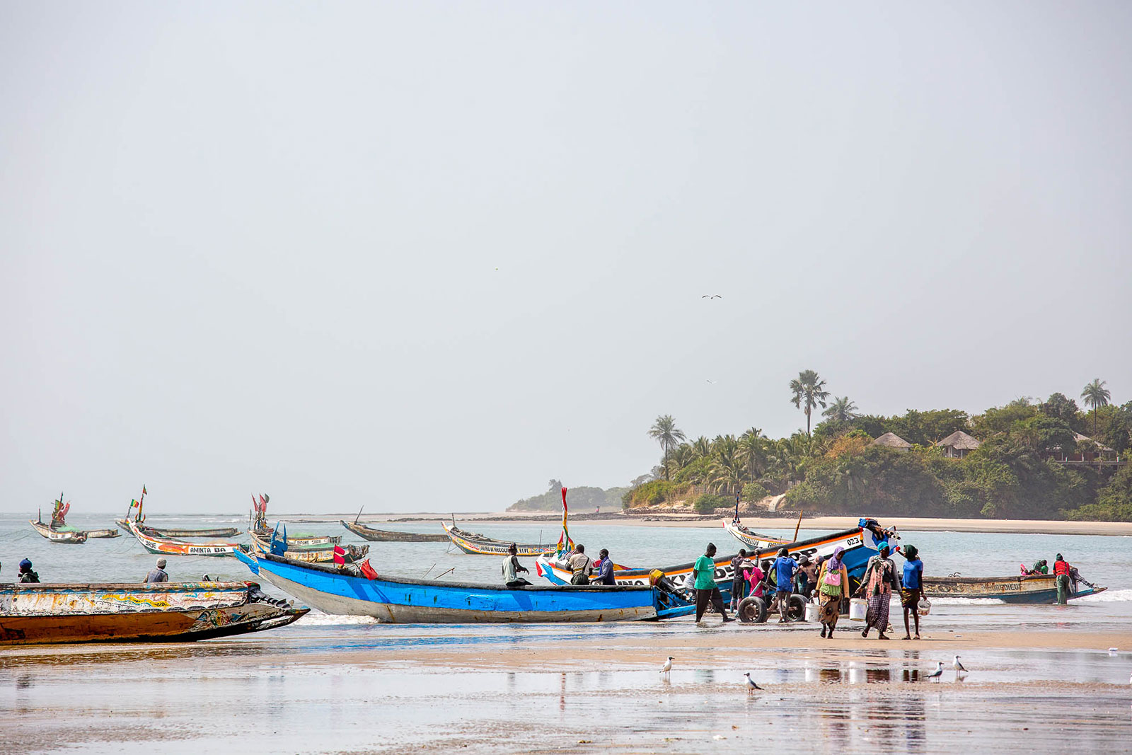 Pesca_2025_WEB.jpg