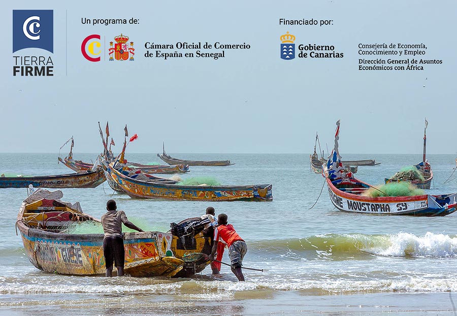 Programa Tierra Firme - Senegal