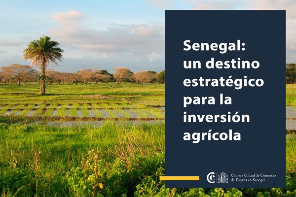 Senegal: un destino estratégico para la inversión agrícola